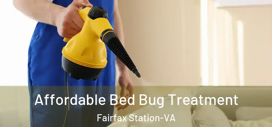 Affordable Bed Bug Treatment Fairfax Station-VA