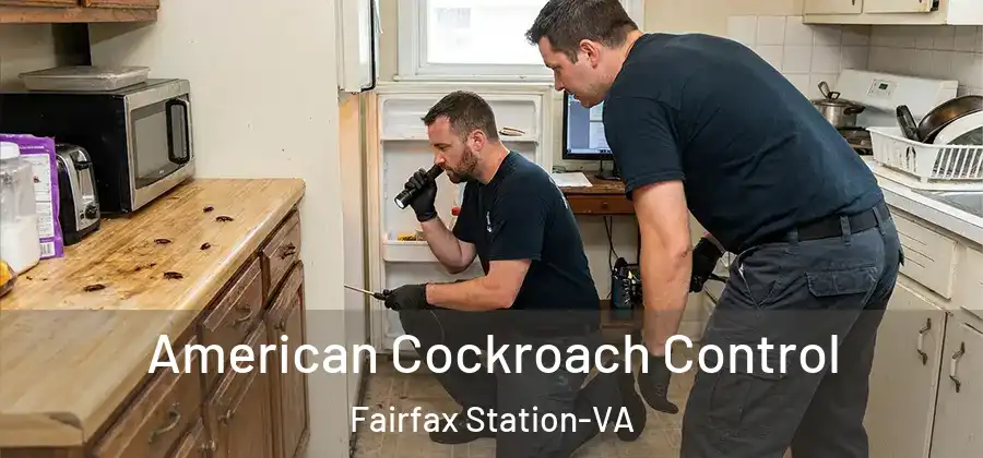American Cockroach Control Fairfax Station-VA