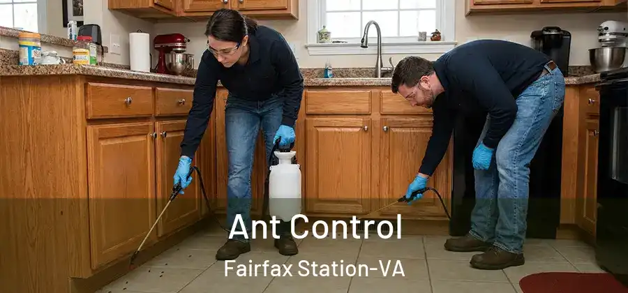 Ant Control Fairfax Station-VA