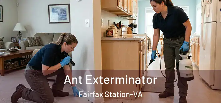 Ant Exterminator Fairfax Station-VA
