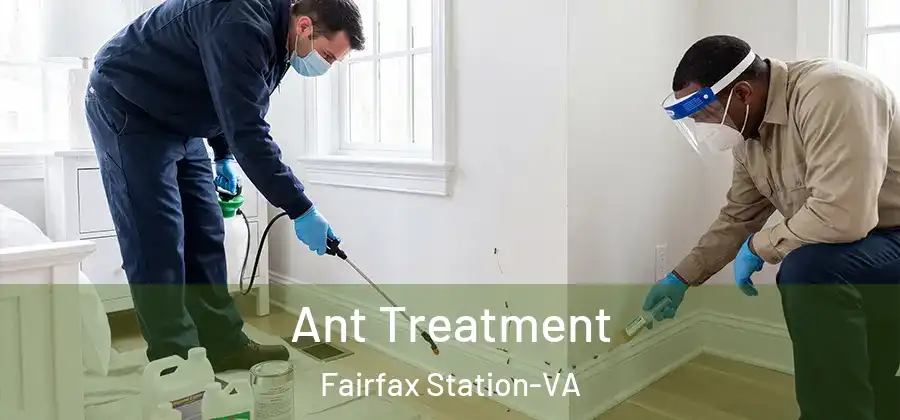 Ant Treatment Fairfax Station-VA