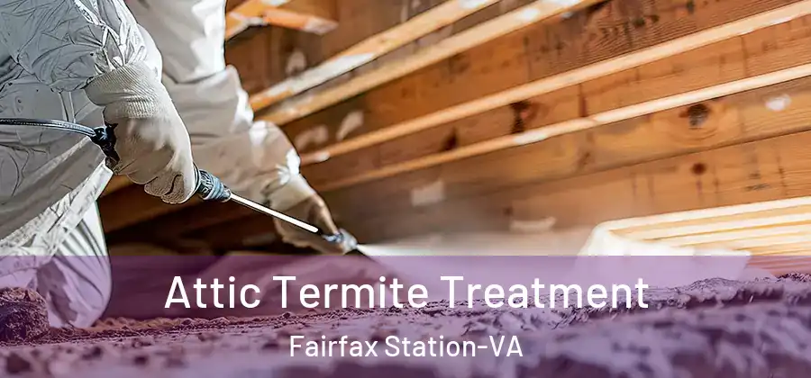Attic Termite Treatment Fairfax Station-VA
