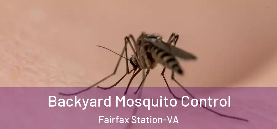 Backyard Mosquito Control Fairfax Station-VA