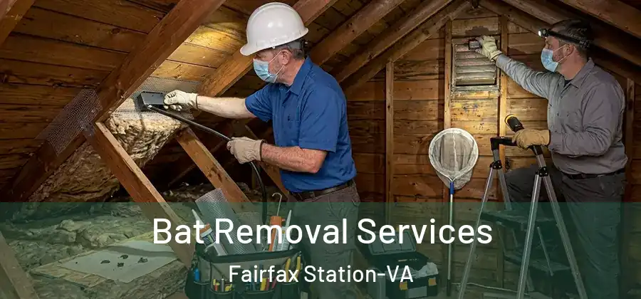 Bat Removal Services Fairfax Station-VA