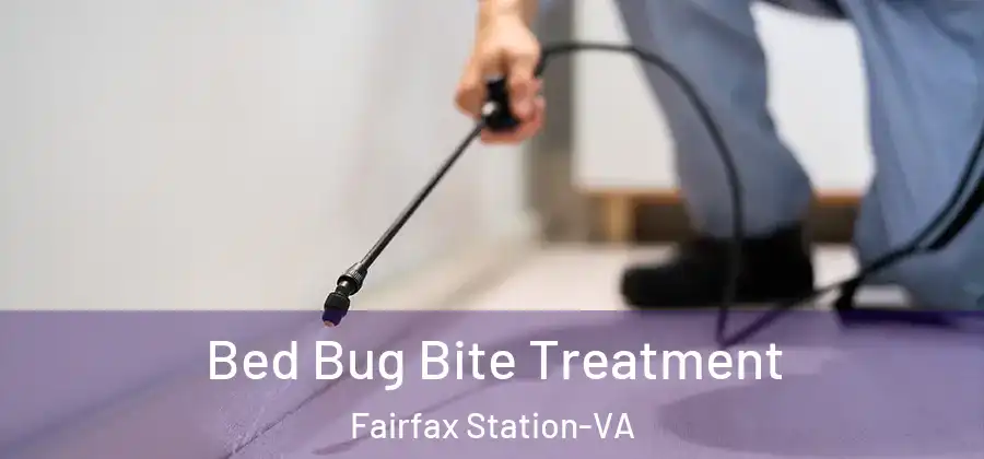  Bed Bug Bite Treatment Fairfax Station-VA