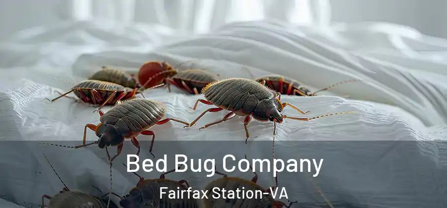 Bed Bug Company Fairfax Station-VA