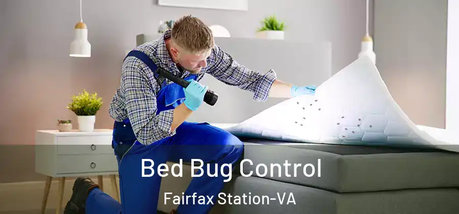 Bed Bug Control Fairfax Station-VA