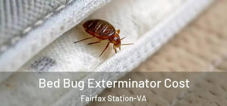Bed Bug Exterminator Cost Fairfax Station-VA