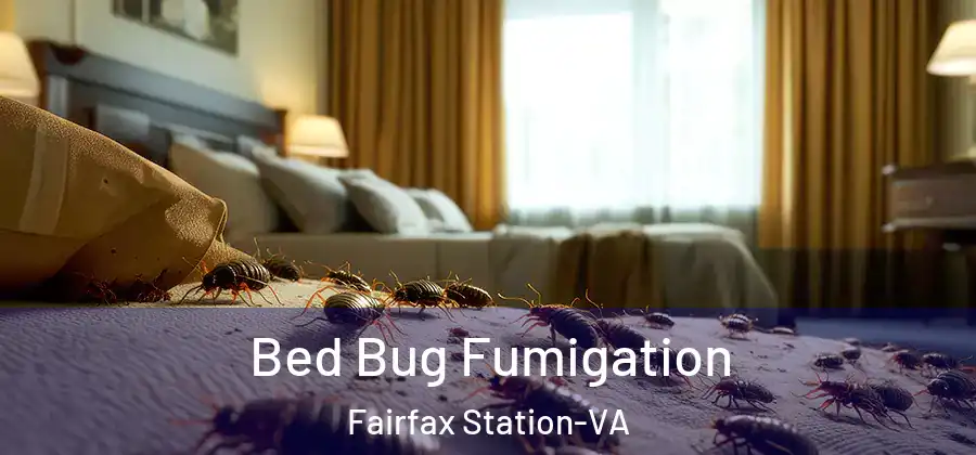 Bed Bug Fumigation Fairfax Station-VA