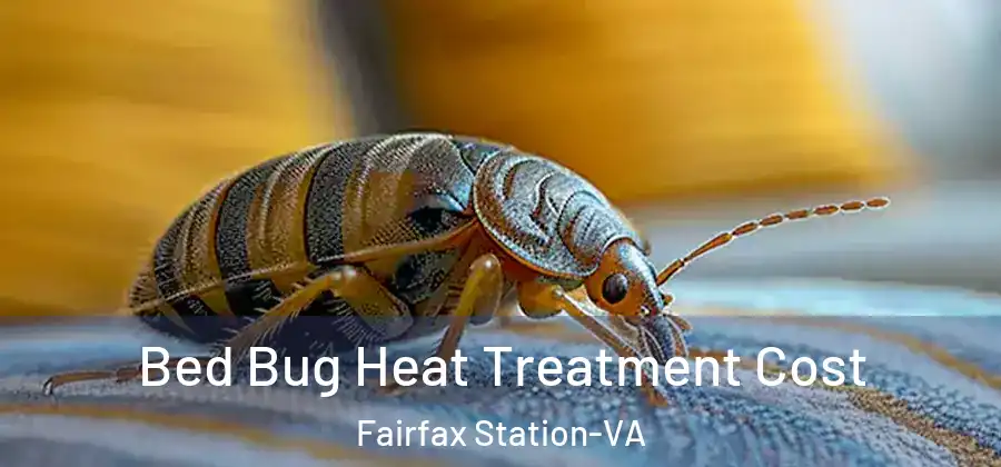 Bed Bug Heat Treatment Cost Fairfax Station-VA