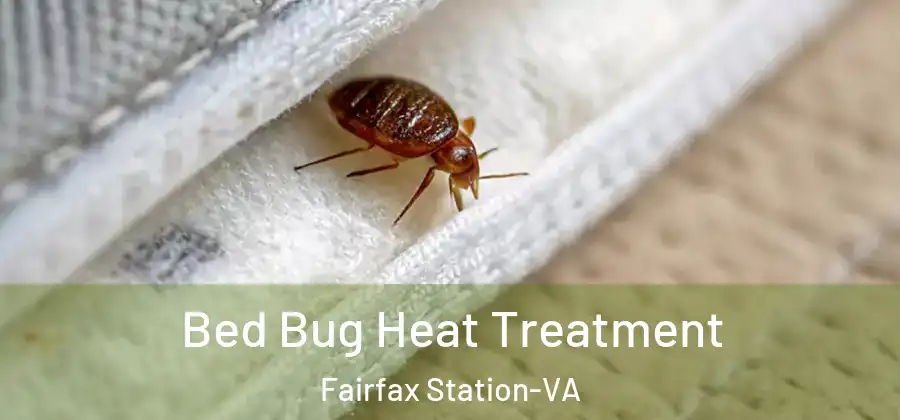  Bed Bug Heat Treatment Fairfax Station-VA