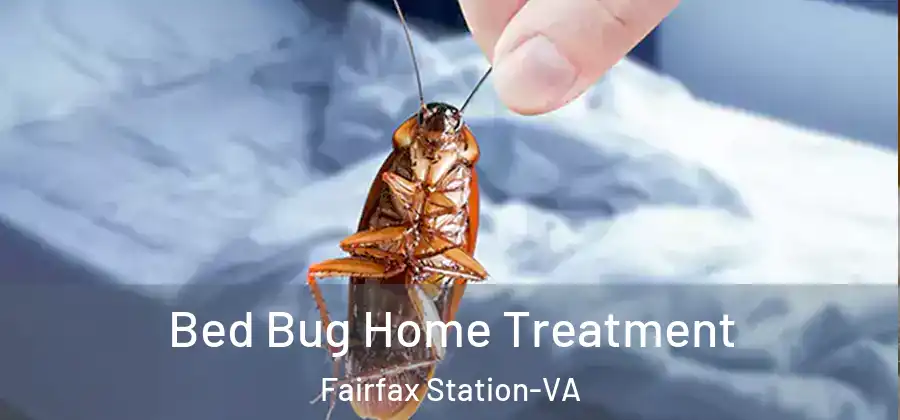  Bed Bug Home Treatment Fairfax Station-VA