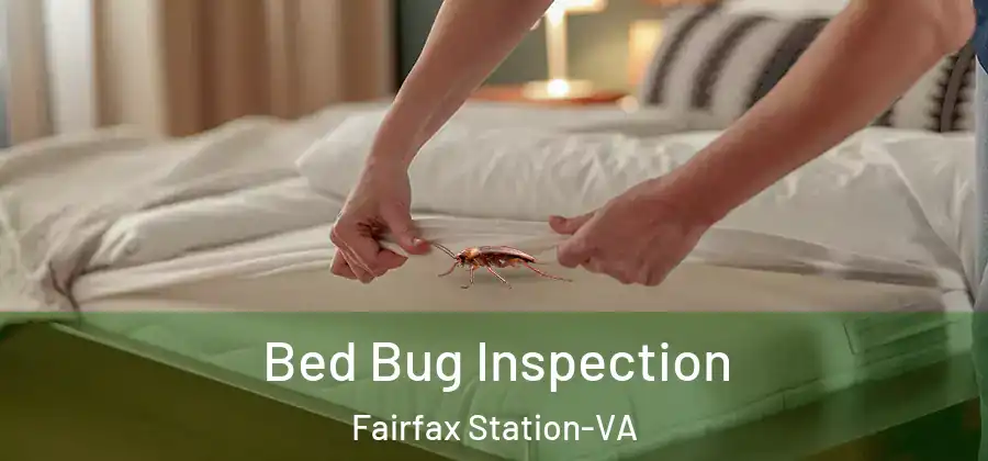  Bed Bug Inspection Fairfax Station-VA