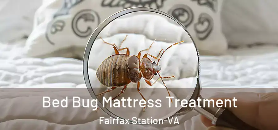 Bed Bug Mattress Treatment Fairfax Station-VA