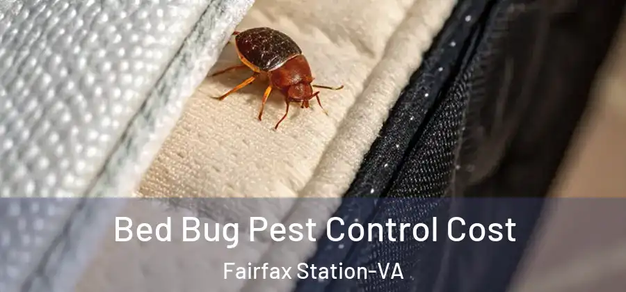 Bed Bug Pest Control Cost Fairfax Station-VA
