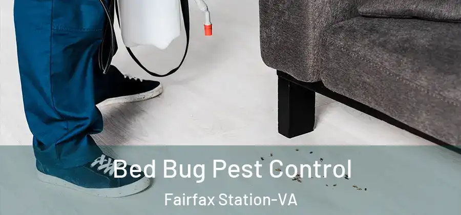 Bed Bug Pest Control Fairfax Station-VA