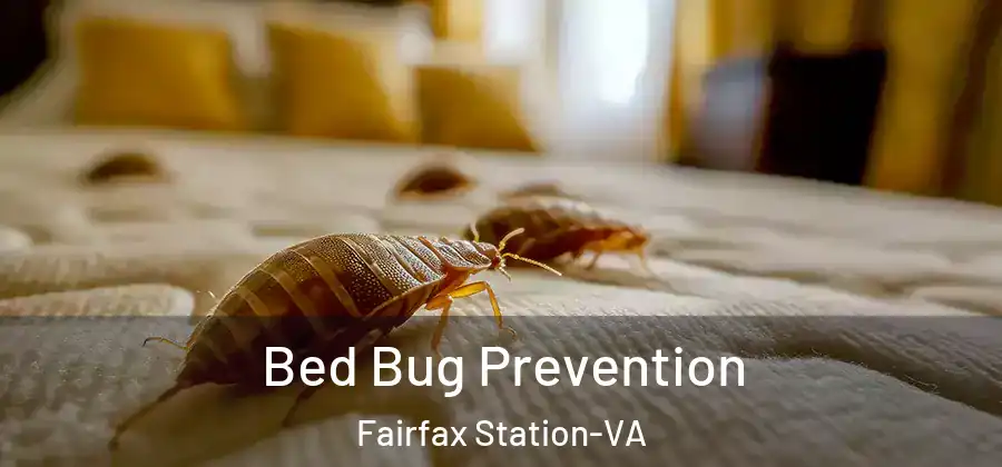Bed Bug Prevention Fairfax Station-VA