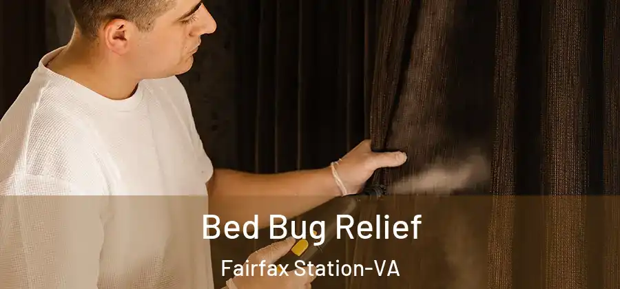 Bed Bug Relief Fairfax Station-VA