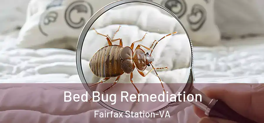 Bed Bug Remediation Fairfax Station-VA