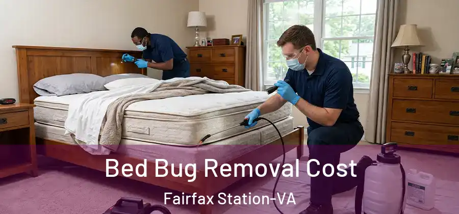 Bed Bug Removal Cost Fairfax Station-VA