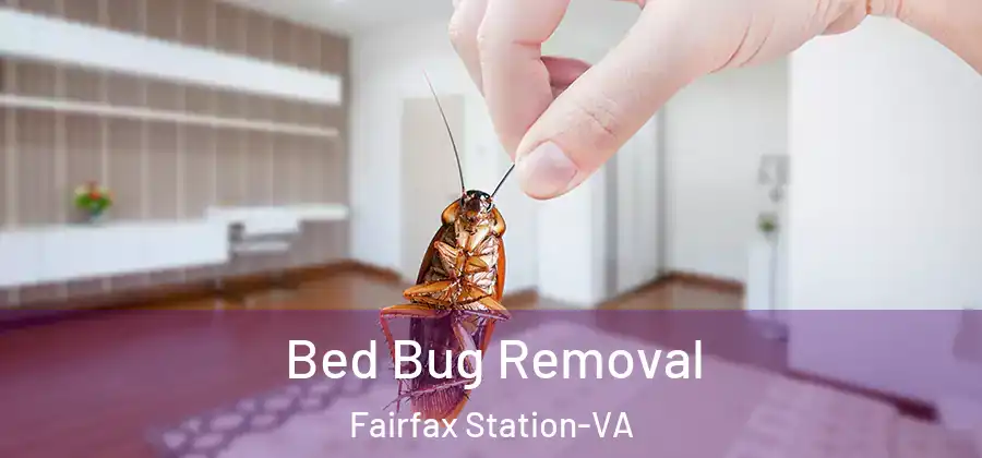 Bed Bug Removal Fairfax Station-VA