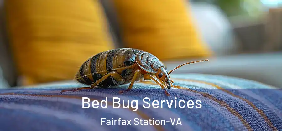 Bed Bug Services Fairfax Station-VA