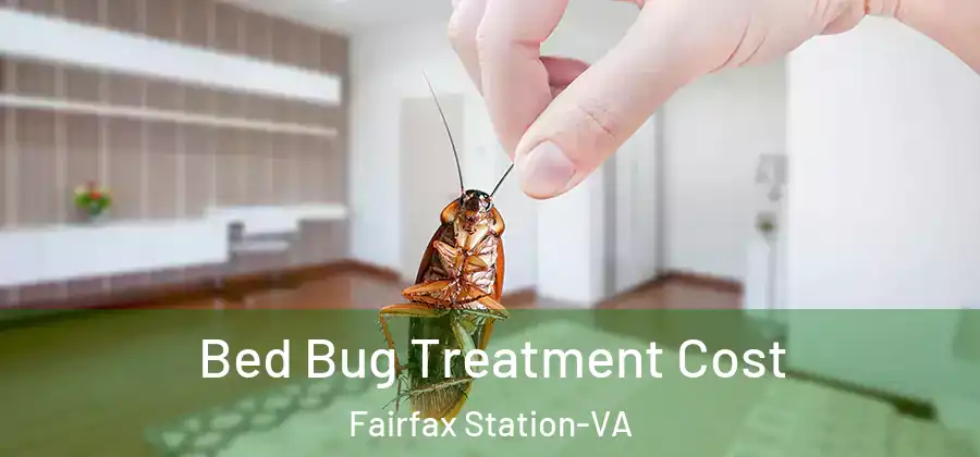 Bed Bug Treatment Cost Fairfax Station-VA