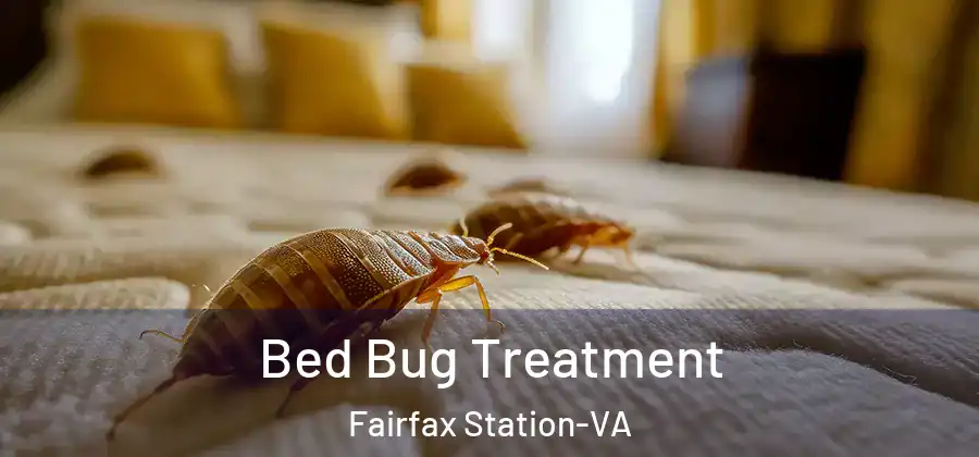 Bed Bug Treatment Fairfax Station-VA