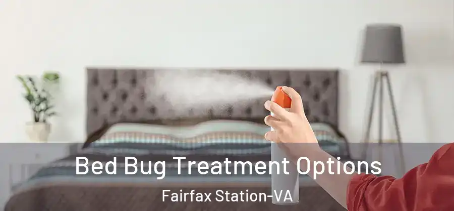 Bed Bug Treatment Options Fairfax Station-VA