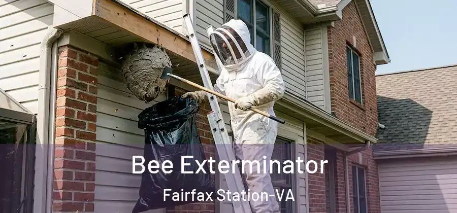 Bee Exterminator Fairfax Station-VA