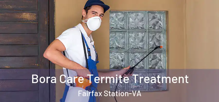 Bora Care Termite Treatment Fairfax Station-VA