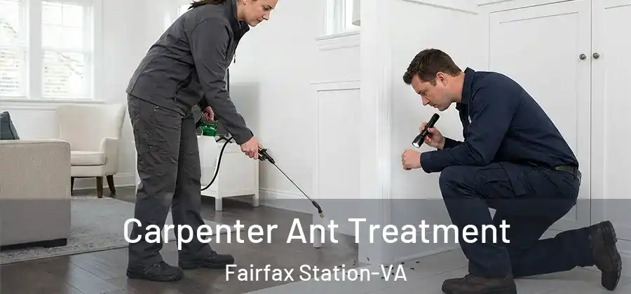 Carpenter Ant Treatment Fairfax Station-VA