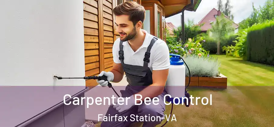 Carpenter Bee Control Fairfax Station-VA