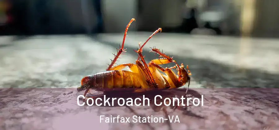 Cockroach Control Fairfax Station-VA