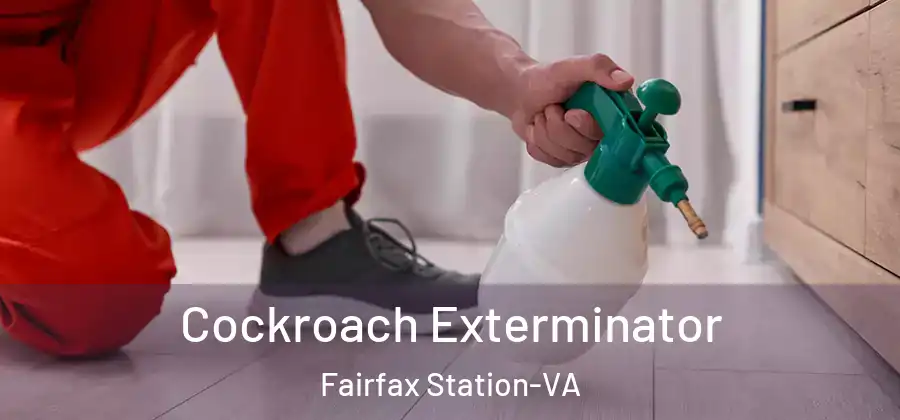 Cockroach Exterminator Fairfax Station-VA
