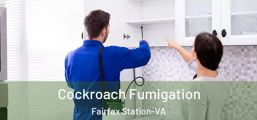 Cockroach Fumigation Fairfax Station-VA