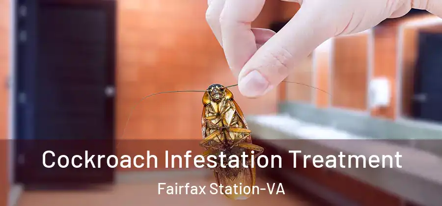 Cockroach Infestation Treatment Fairfax Station-VA