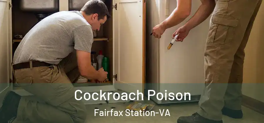 Cockroach Poison Fairfax Station-VA