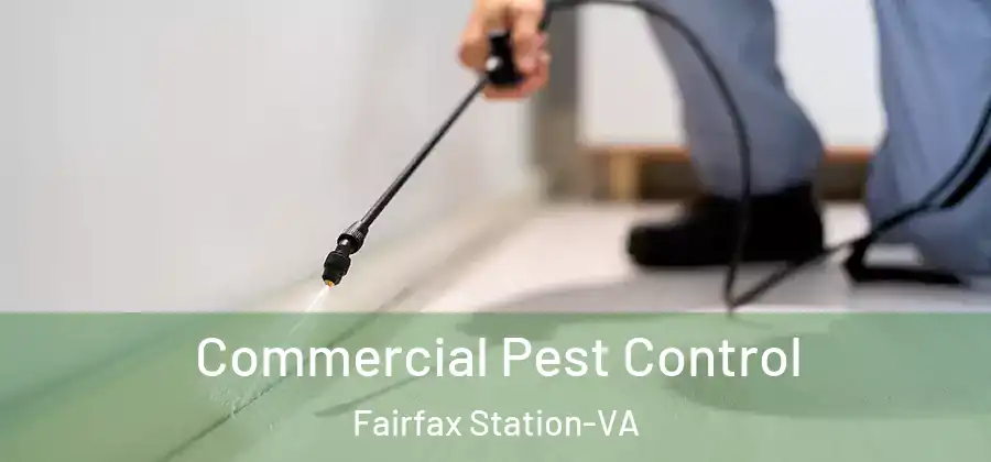 Commercial Pest Control Fairfax Station-VA