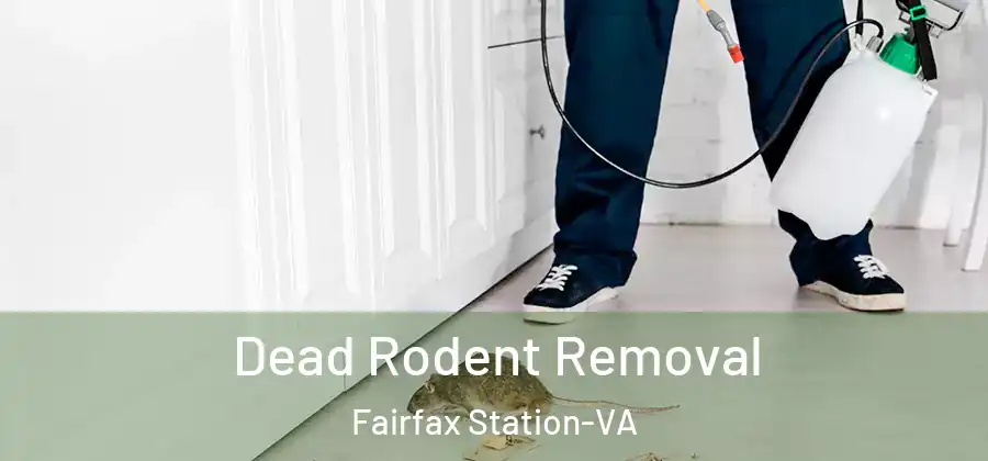 Dead Rodent Removal Fairfax Station-VA