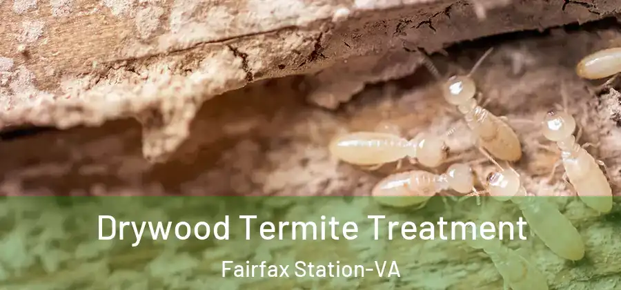Drywood Termite Treatment Fairfax Station-VA