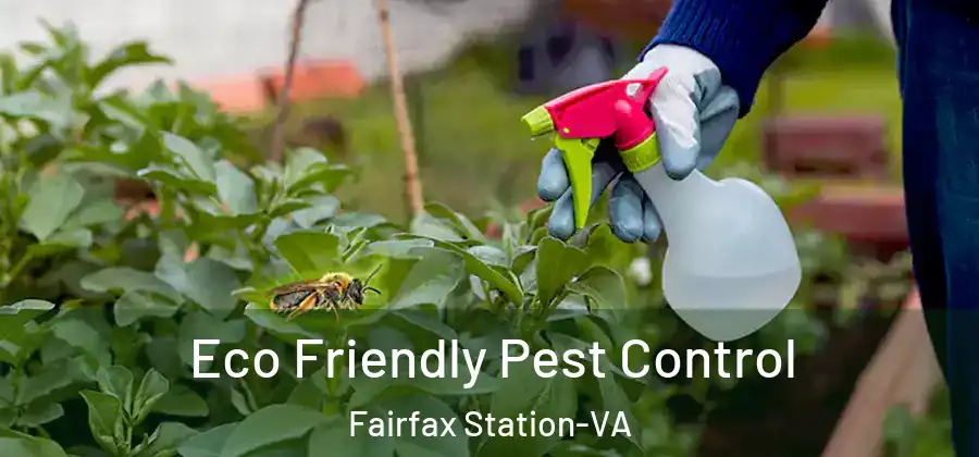 Eco Friendly Pest Control Fairfax Station-VA