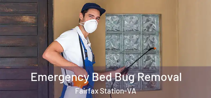 Emergency Bed Bug Removal Fairfax Station-VA