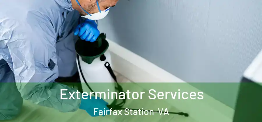 Exterminator Services Fairfax Station-VA