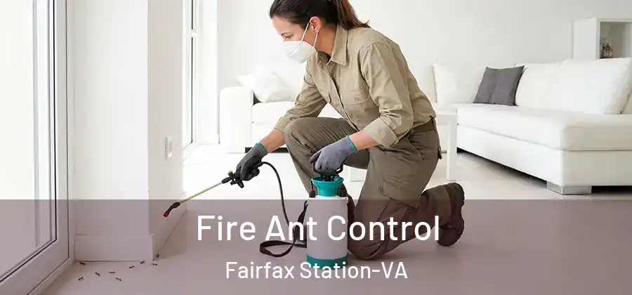Fire Ant Control Fairfax Station-VA