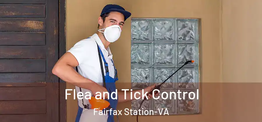Flea and Tick Control Fairfax Station-VA