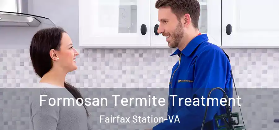  Formosan Termite Treatment Fairfax Station-VA