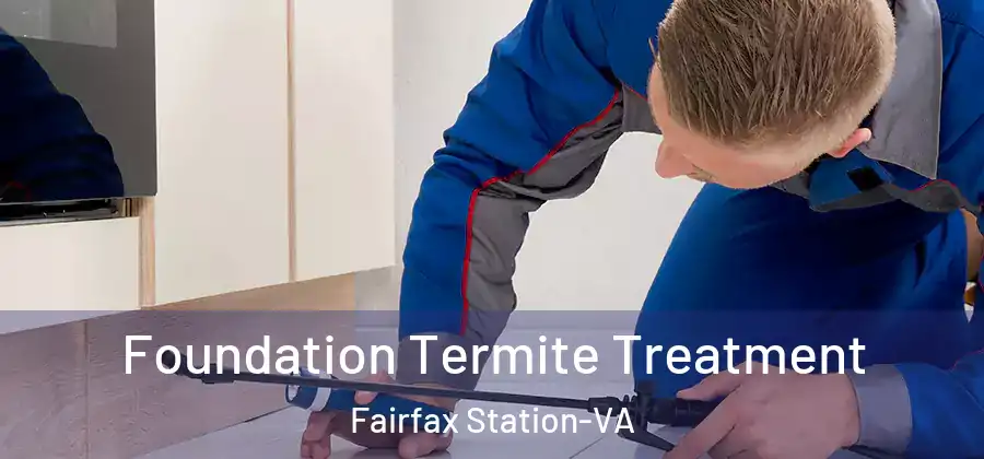 Foundation Termite Treatment Fairfax Station-VA