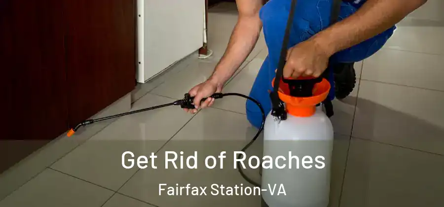 Get Rid of Roaches Fairfax Station-VA