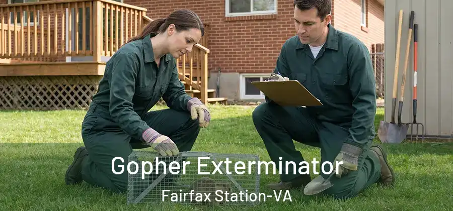 Gopher Exterminator Fairfax Station-VA